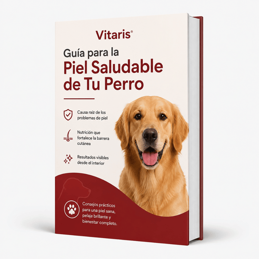 Guia para la Piel Saludable de Tu Perro