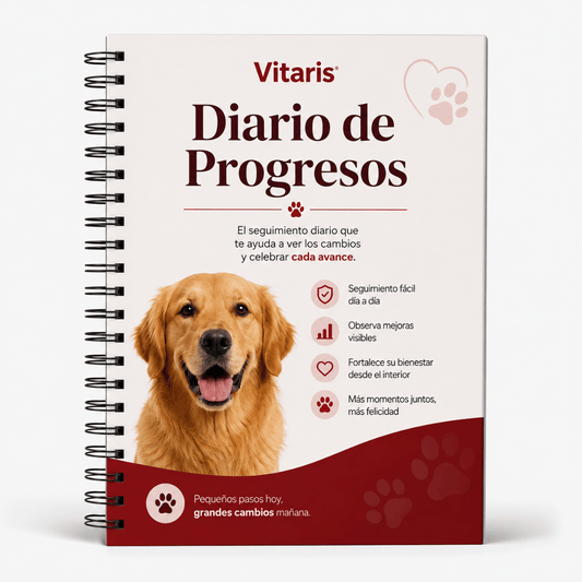 Diario de Progressos