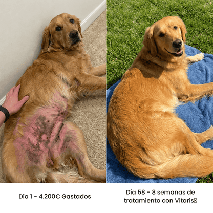 Vitaris® Colágeno Líquido Premium