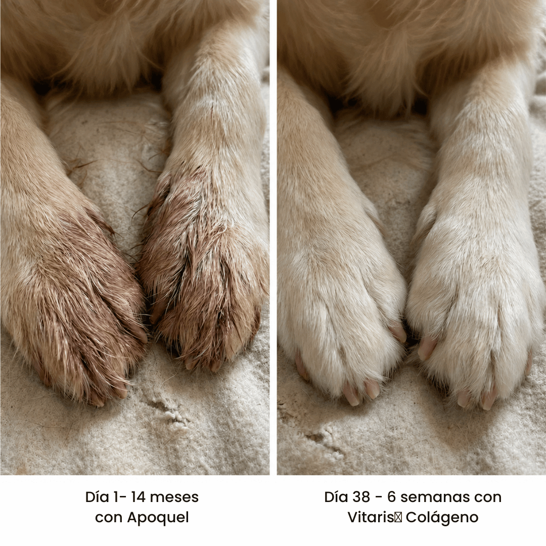 Vitaris® Colágeno Líquido Premium